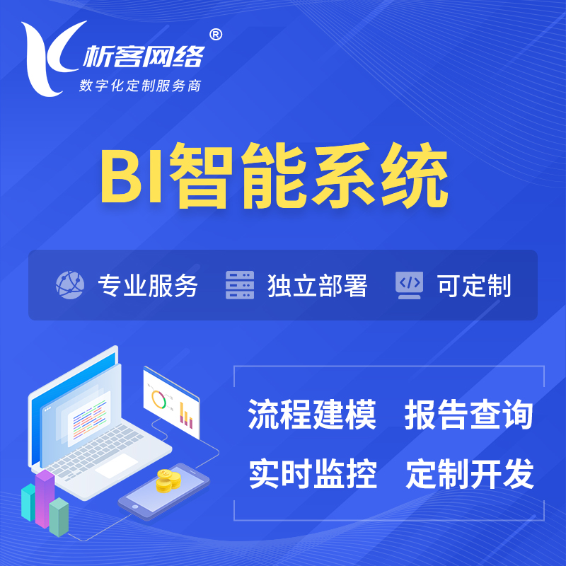 武汉BI智能系统 | BI数据可视化
