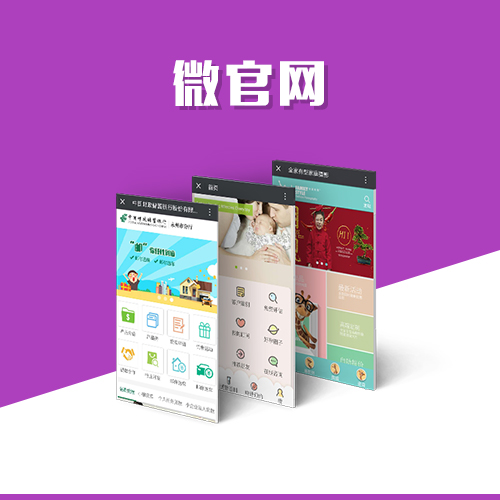 武汉政府网站定制中的政务公开与互动功能设计