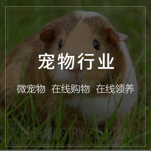 武汉活动报名系统制作如何防止数据泄露